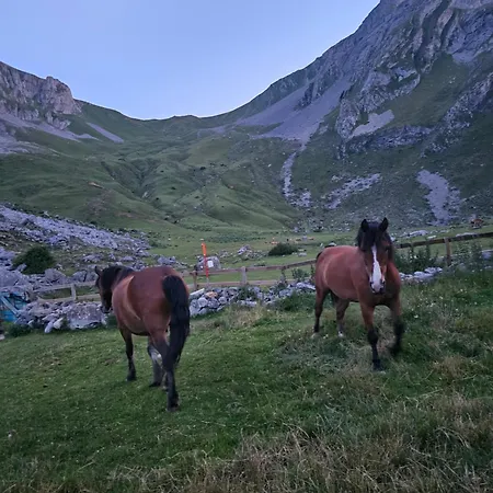Vandrarhem Refugio Del Meicin Pola de Lena