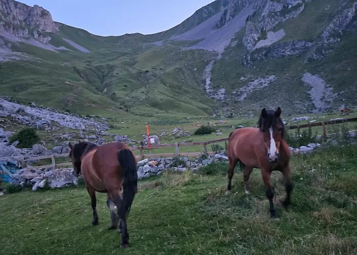 Hostel Refugio Del Meicin Pola de Lena